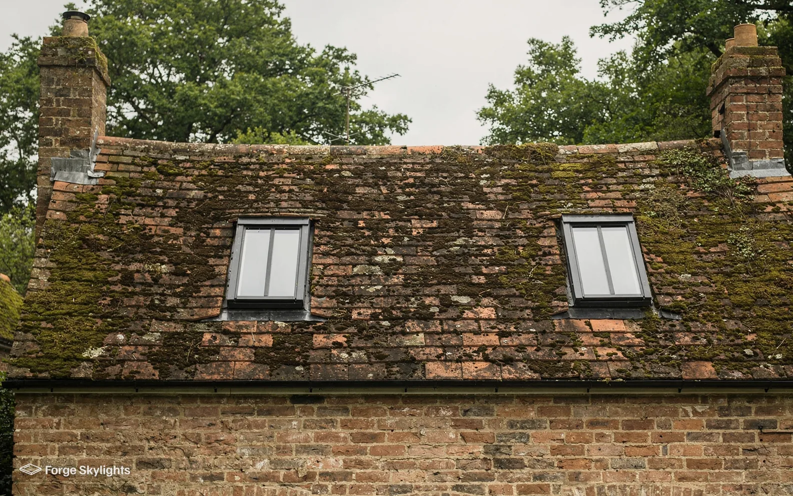 An old brick cottage with a moss covered tiled roof and two slim rooflights set into the slope