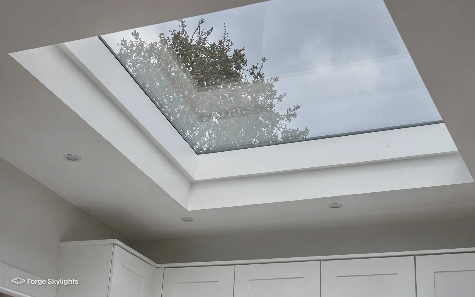 Looking up through a flat rooflight at bare tree branches